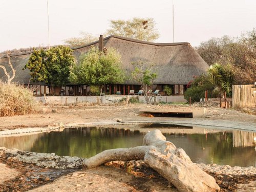 Last Word Madikwe