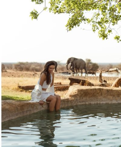 Last Word Madikwe